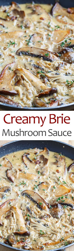Creamy Brie Mushroom Sauce - Closet Cooking